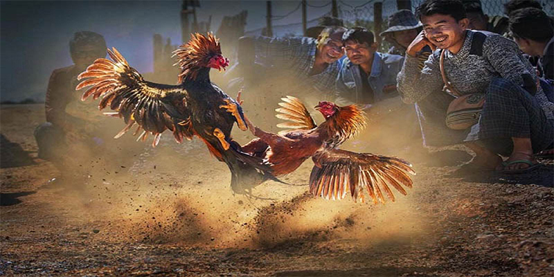 ku3933 chơi bắn cá đổi thưởng