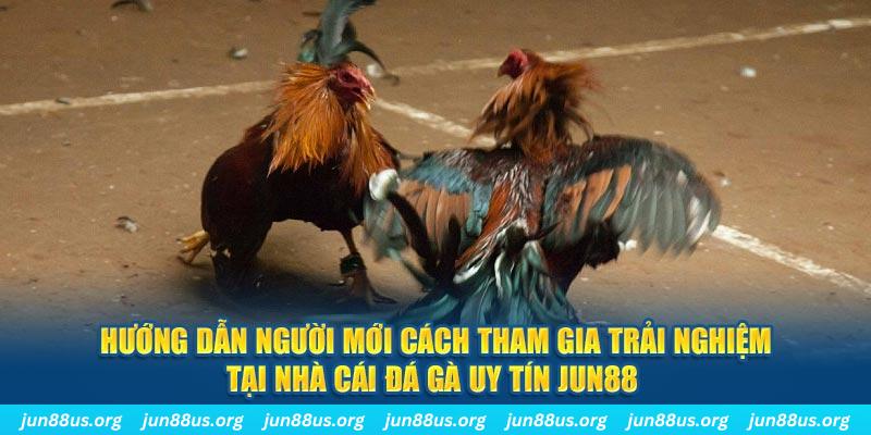 ku3933 CQ9 Điện Tử