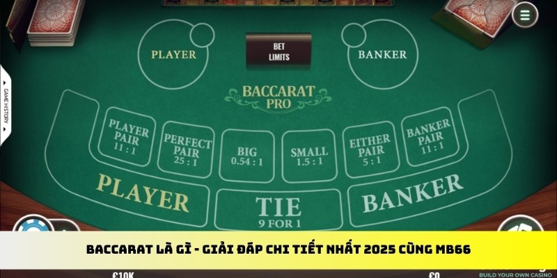 ku3933 gà chọi cu cần