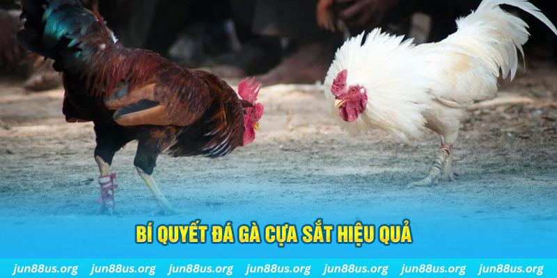 ku3933 xin 1 slot là gì