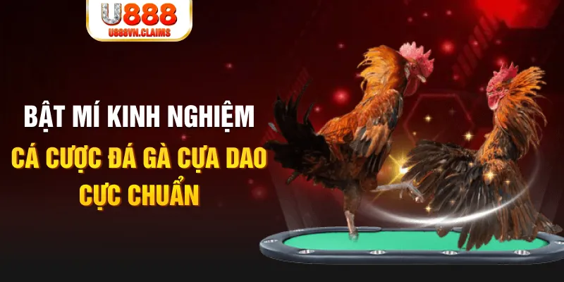 ku3933 tỷ lệ cá cược châu á là gì