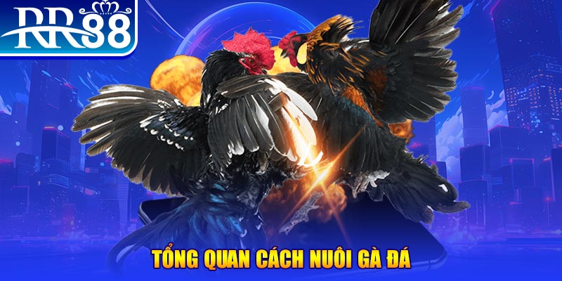 ku3933 VA Điện Tử