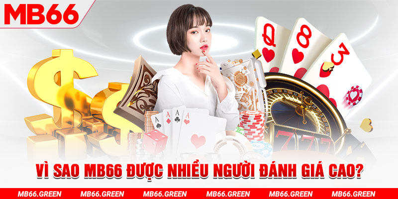 ku3933 đá gà
