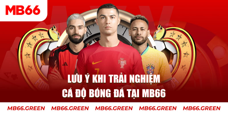 ku3933 cá cược là gì