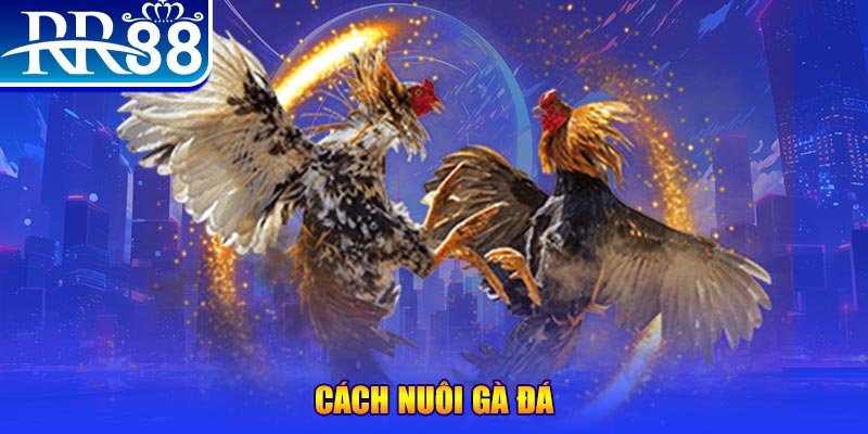 ku3933 xổ số an giang