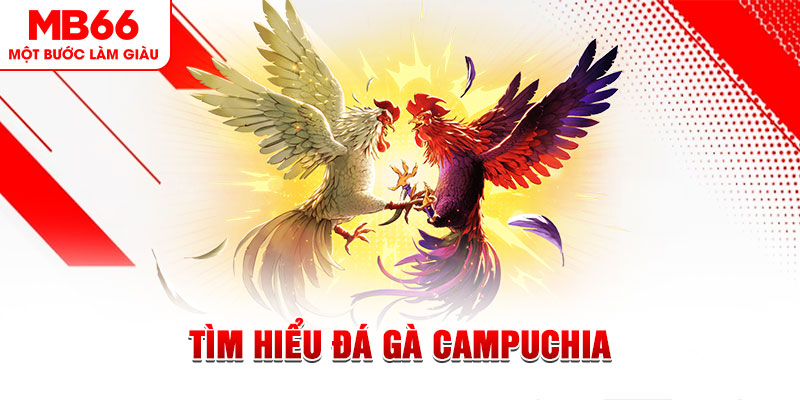 ku3933 đá gà trực tiếp