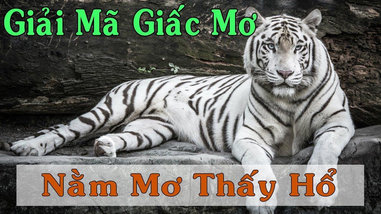 ku3933 WM Trực Tuyến