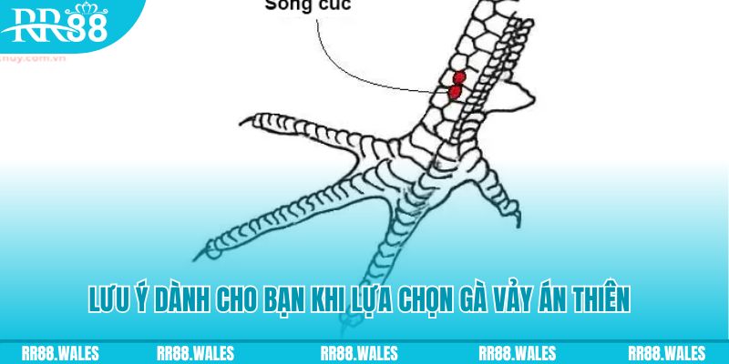 ku3933 xổ số đồng nai