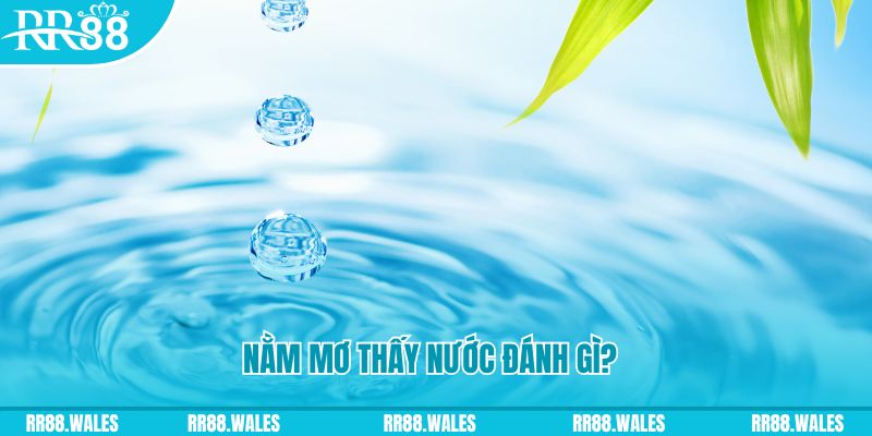 ku3933 TP Bắn cá