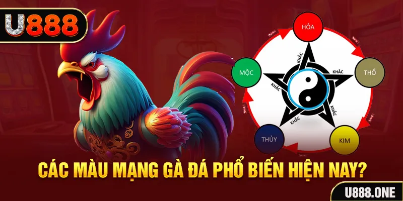 ku3933 trực tiếp đá gà 88