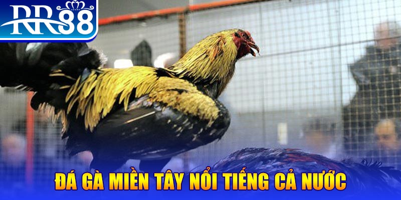 ku3933 JILI Game Bài 3d