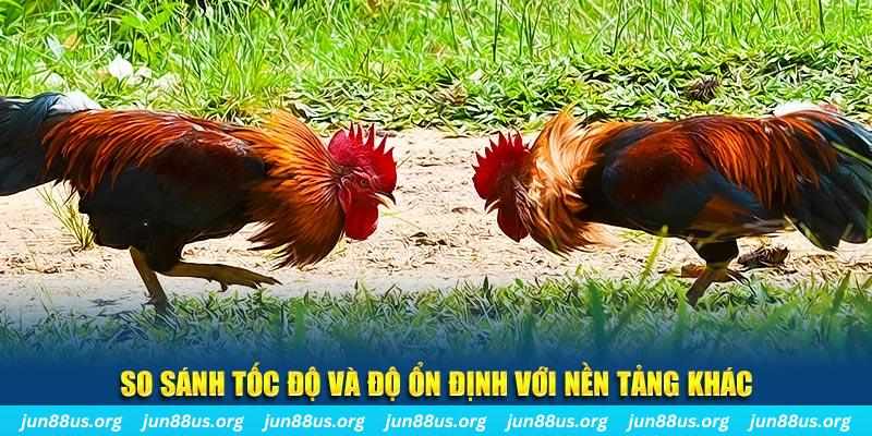ku3933 đá gà hôm nay