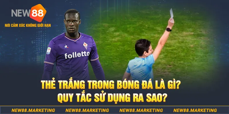 ku3933 gà chọi mộc hóa