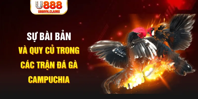 ku3933 YGR Điện Tử