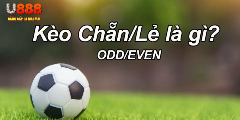 ku3933 đăng nhập poker hôm nay