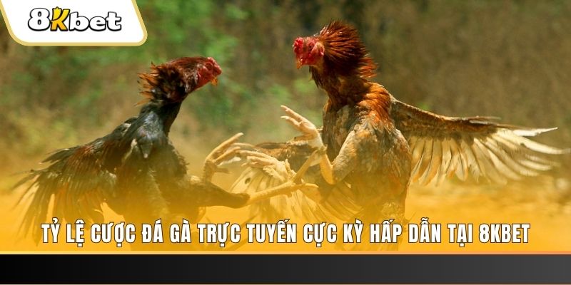 ku3933 xổ số trực tiếp miền bắc