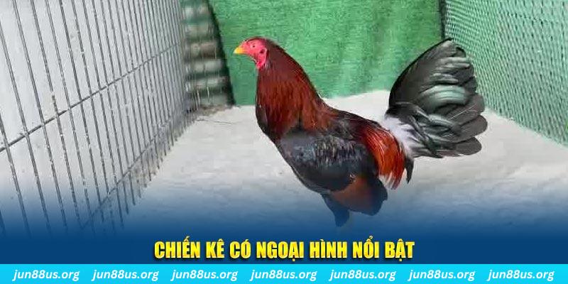 ku3933 chạy quảng cáo cho game bài bị phạt như thế nào