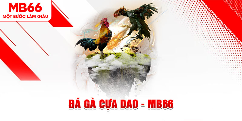 ku3933 đá gà sv388 gold