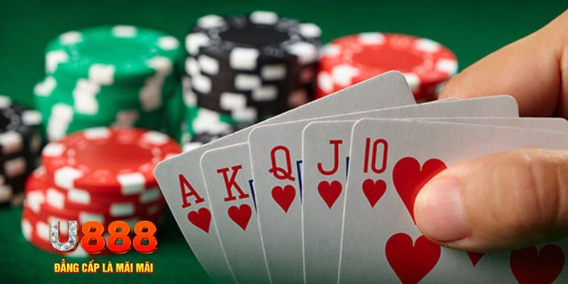 ku3933 đá gà trực tiếp thomo 67